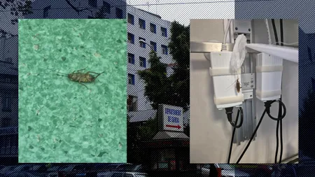 Prima REACȚIE oficială a Spitalului Floreasca, după imaginile cu GÂNDACI de la Centrul de Arși: 