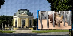 O îngrijitoare de la grădina zoologică din Salzburg a fost UCISĂ de un rinocer