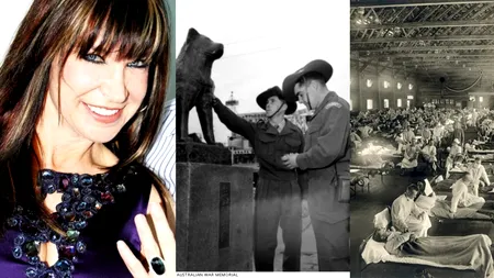 8 MARTIE, calendarul zilei: Cynthia Rothrock împlinește 68 de ani/ Moare renumitul câine Hachikō/ Începe devastatoarea pandemie de gripă spaniolă