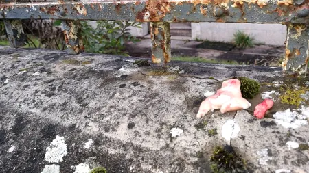 Două capete de porc tăiate în două, agățate de gardul unui viitor loc de cult musulman în Franța