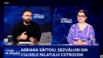 Adriana Săftoiu: „Cu serviciile e vorba de joc psihologic. Să-i fi venit lui Nicușor idee cu colaborarea cu serviciile?
