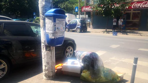 Criza gunoaielor se amplifică și în Sectorul 2 al Capitalei. „Avem locuri în care mojicia şi nesimţirea transformă oraşul în groapă de gunoi”