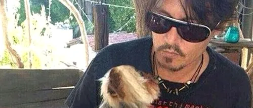 Câinii actorului Johnny Depp, amenințați cu eutanasierea după ce au fost introduși ilegal în Australia