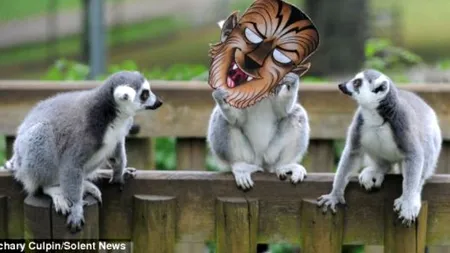 GALERIE FOTO. Joaca de-a Halloween. Pe cine au 