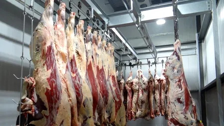 Românii, „carne de tun” pentru abatoarele germane! „Vin în țară și tot ce au câștigat dau la doctori!”