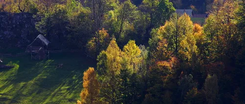 Lista celor 16 parcuri naționale pe care Romsilva le va administra încă 10 ani