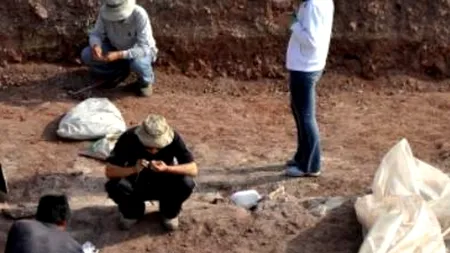 Fosilele unei noi specii de mamifer, descoperite în România