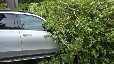 Cod ROȘU de vijelii, grindină și ploi torențiale în București. A fost transmis mesaj de avertizare RO-Alert / O femeie a murit, în Otopeni