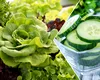 Ce se întâmplă în organism dacă mănânci salată verde și castraveți. Se află printre alimentele des consumate vara