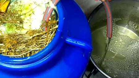 Ce să pui în butoiul cu varză MURATĂ ca frunzele să nu se înmoaie. Gospodinele din Banat au dezvăluit secretul