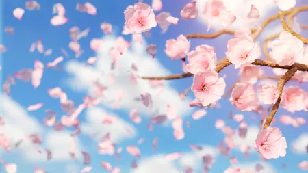 Vremea extremelor! Temperaturi de mai, dar și lapoviță și ninsoare. Unde va ninge în România