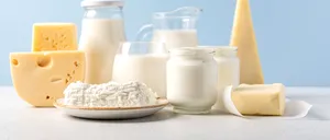 Brânză și lactate EXPIRATE în magazinele din România. ANPC a confiscat tone de produse și a dat amenzi usturătoare