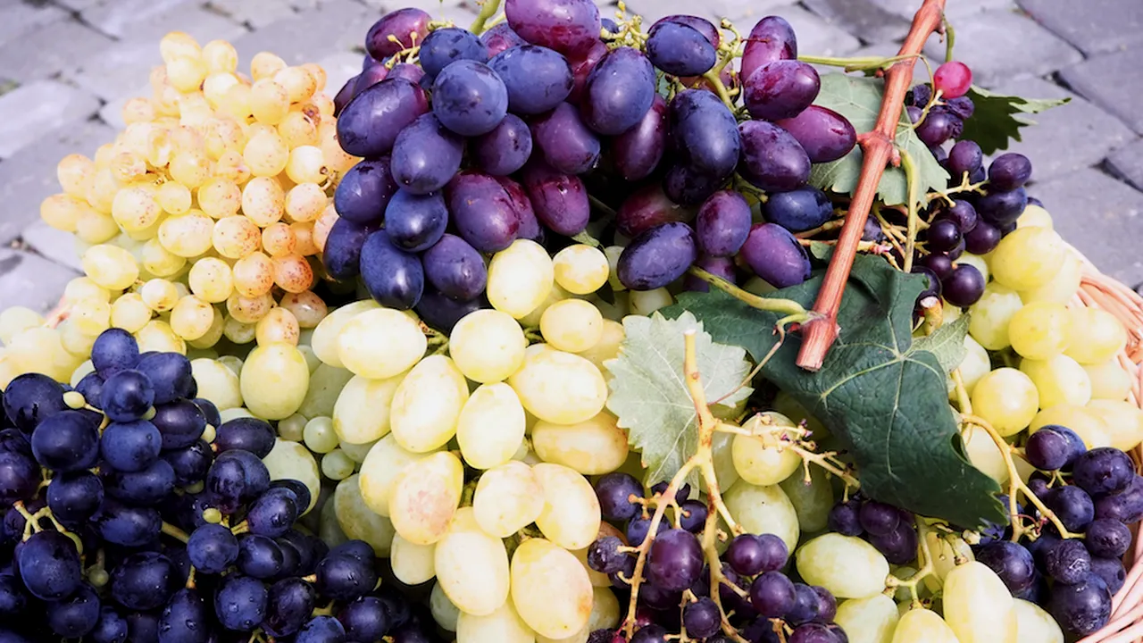 Un șofer a fost amendat cu 20.000 de lei pentru că transporta ilegal peste o tonă de struguri