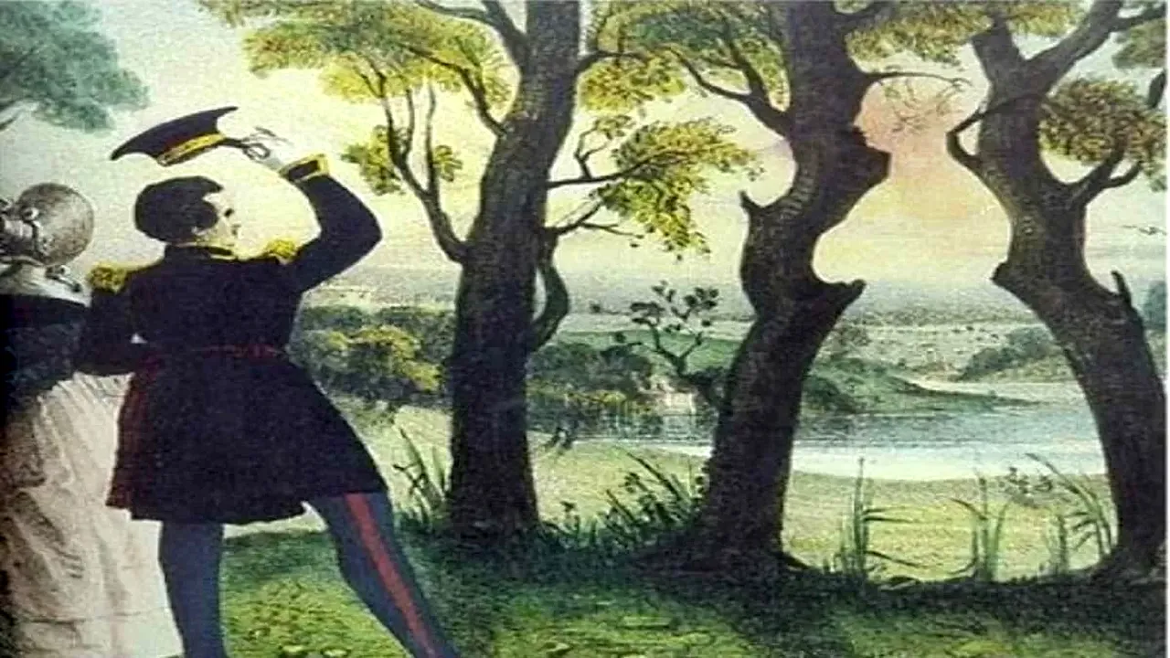 Test IQ - iluzie optică | Poți găsi regina ascunsă în pădure, în 9 secunde?!