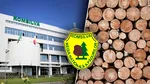 Cât costă lemnele de foc în 2026, cumpărate direct de la Romsilva. Prețurile pornesc de la 200 de lei pe metru cub