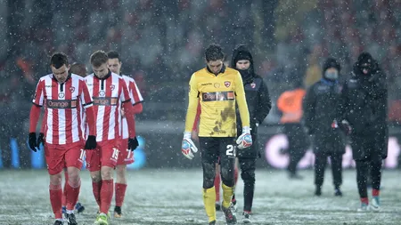 El e alesul lui Negoiță: 