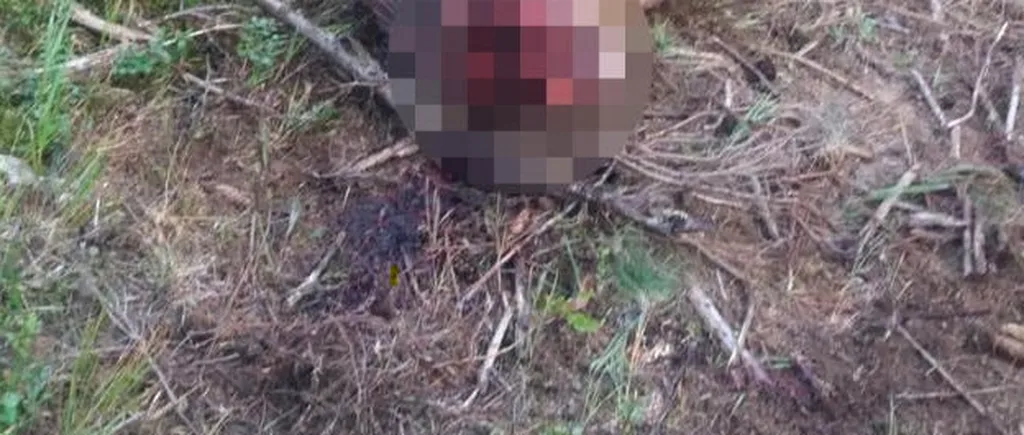 O femeie din CANADA susține că a surprins în imagini două femei dezbrăcate care ar fi mâncat din cadavrul unui cerb
