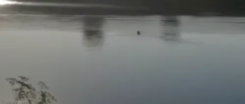VIDEO. Un bărbat a fost filmat în timp ce se îneca într-un lac. Pescarii care priveau: „Se duce cu capul la fund! S-a înecat”