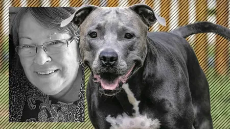 Femeie de 67 de ani, SFÂȘIATĂ până la moarte de un pitbull. Ea adoptase „fiara” de pe stradă