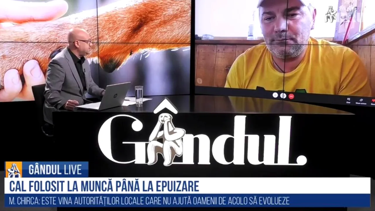 Marius Chirca, la GÂNDUL LIVE, despre cazurile de maltratare a animalelor la sat: Este vina autorităților că îi vor așa! Trebuie dată pedeapsa cu închisoarea- VIDEO