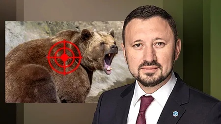 EXCLUSIV VIDEO | Scapă de împușcare cei 426 de urși, așa cum a semnat Tánczos Barna? Fechet: ”Nu sunt de acord cu vânătoarea la urs pentru trofeu”