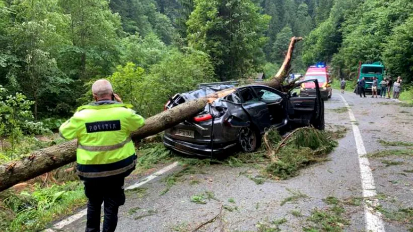 TRAGEDIE pe Transalpina. O femeie a murit după ce un copac a căzut peste un autoturism în care se aflau patru persoane