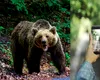 Turistă spaniolă atacată de urs în apropierea hotelului Posada, Argeș. O fotografie o putea costa viața