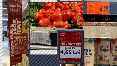 FOTO | Cât costă să umpli coșul de cumpărături cu alimentele care s-au ieftinit după plafonarea adaosului. Prețurile diferă de la un magazin la altul