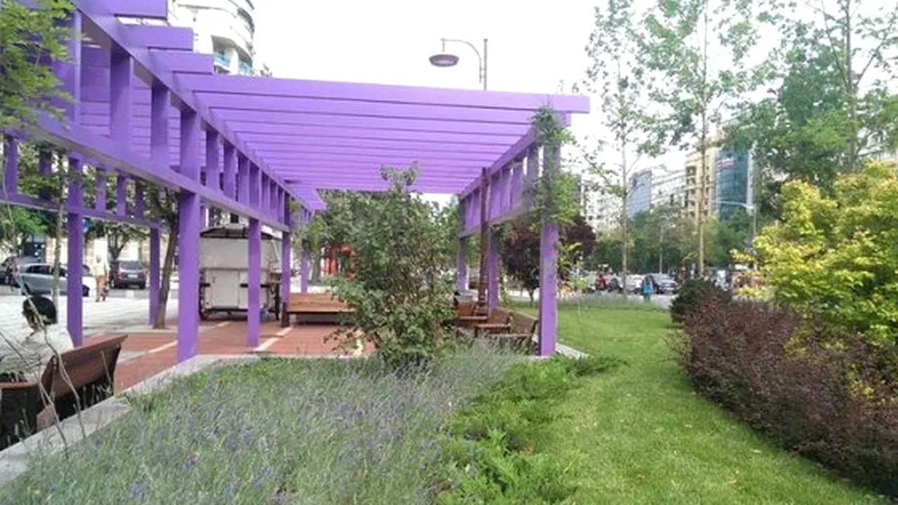 Ce se întâmplă cu  construcțiile roz de pe Bulevardul Unirii 