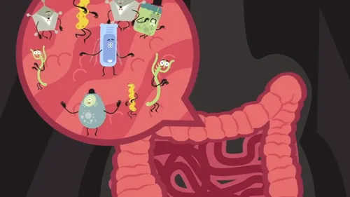 Bacteriile intestinale pot reduce riscul de boli cardiovasculare STUDIU 