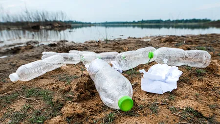 Reciclarea pe bani funcționează. O jumătate de MILIARD de peturi n-au mai ajuns în râuri, lacuri și maidane
