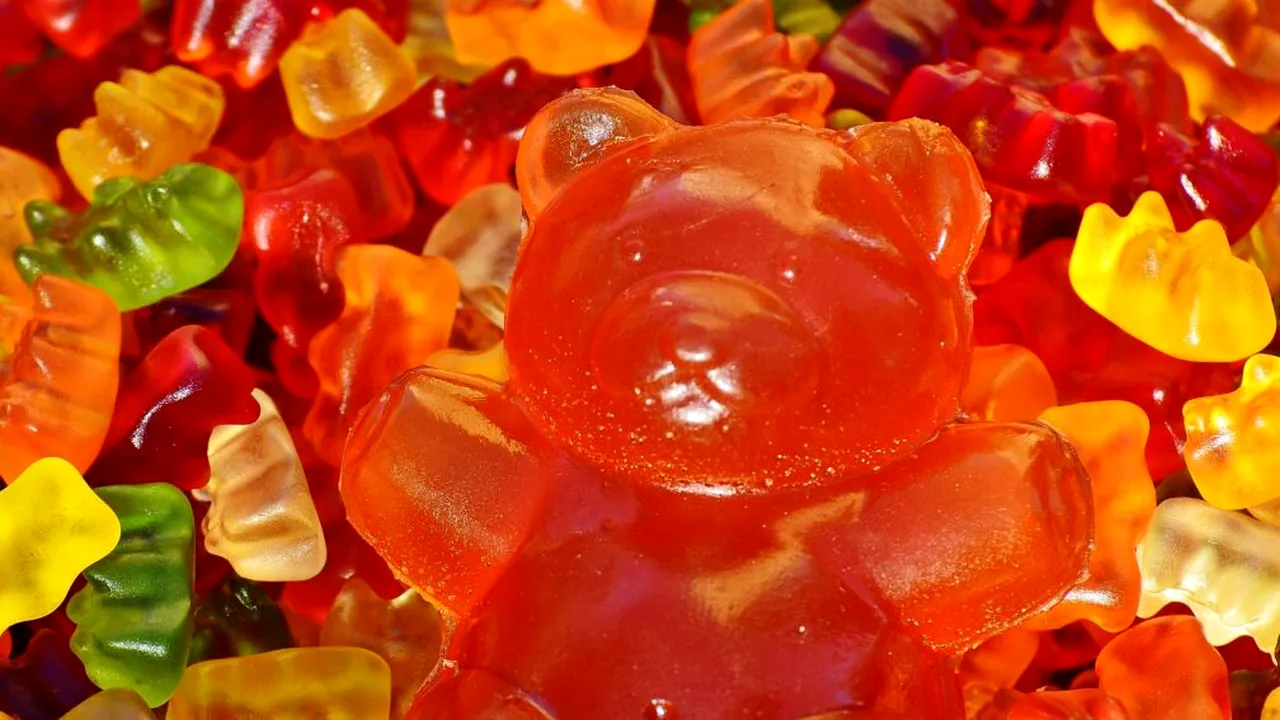 Un bărbat a găsit un cec de 4,6 milioane de euro și a primit drept recompensă 6 pungi cu bomboane