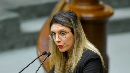 Diana Buzoianu anunță că peste 4.000 de construcții ilegale au fost ridicate pe litoral, deși terenurile aparțin statului român