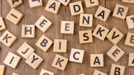 Ce înseamnă și cum se folosește „parasocial”, desemnat cuvântul anului 2025