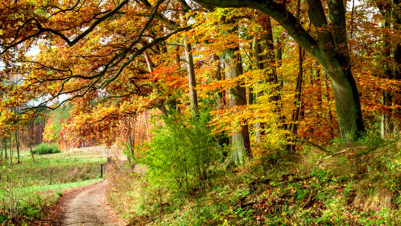 VREMEA de sâmbătă, 13 septembrie 2025. Meteorologii anunță temperaturi de vară, în plină toamnă, cu maxime și de 30 de grade Celsius