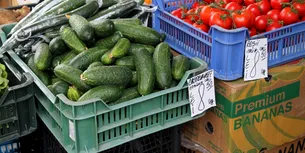 Procurorii buzoieni au rezolvat cazul: castraveții crescuți cu SUBSTANȚE pentru forțarea coacerii sunt neconformi