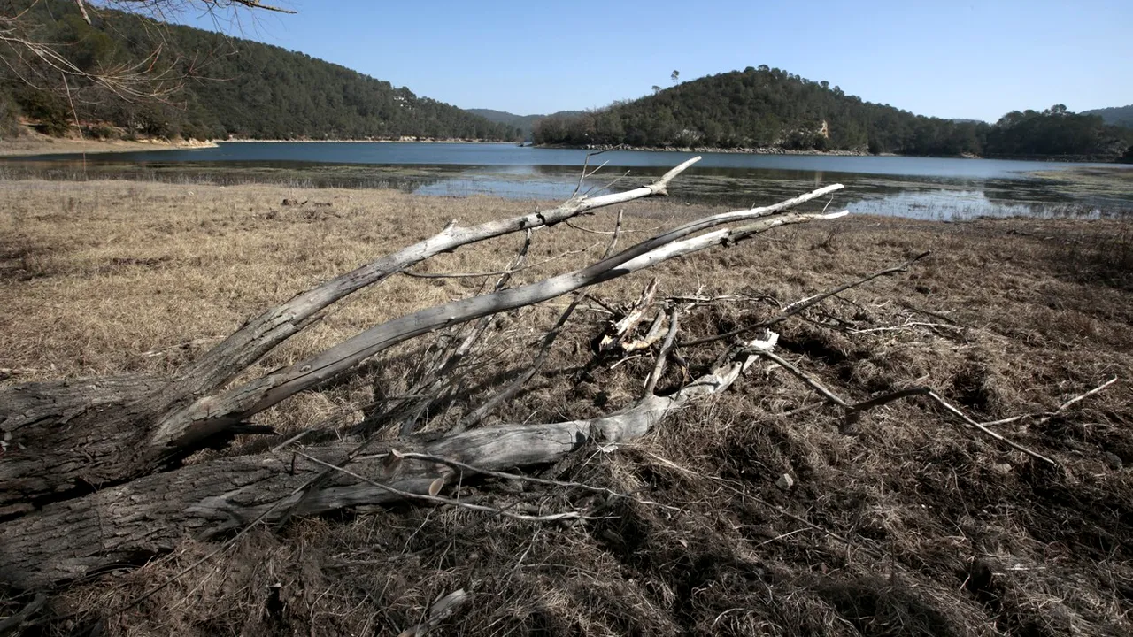 Creșterea temperaturii globale și EFECTELE pe termen lung