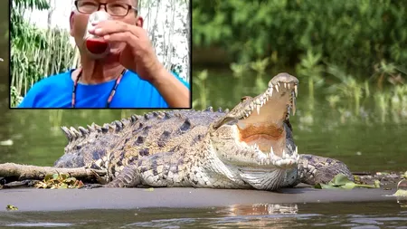 Motivul pentru care un milionar din Thailanda bea zilnic sânge de CROCODIL