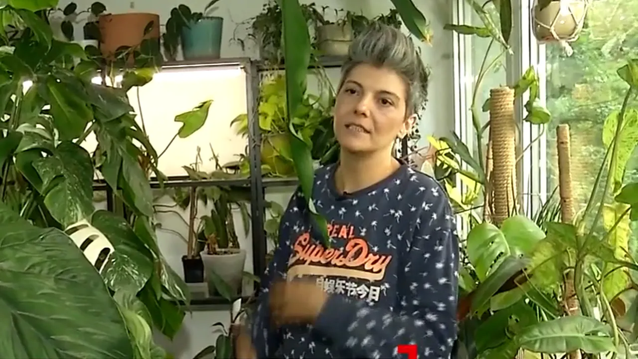 O femeie din București și-a transformat apartamentul într-o grădină botanică. Una dintre plante valorează 21.000 de EURO!