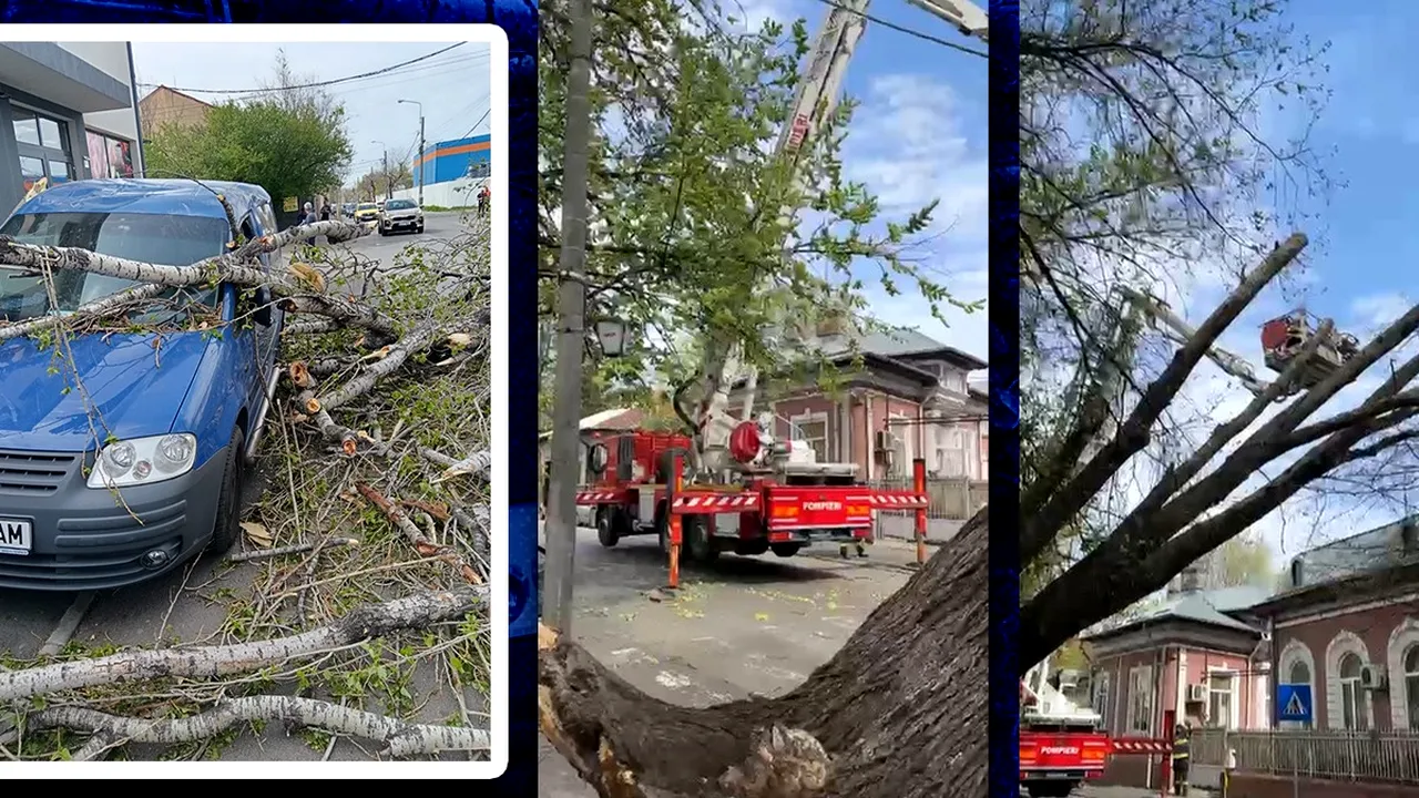 Vântul a făcut RAVAGII în București: Mai mulți copaci au căzut peste mașini / Panouri publicitare și elemente de construcție, luate pe sus