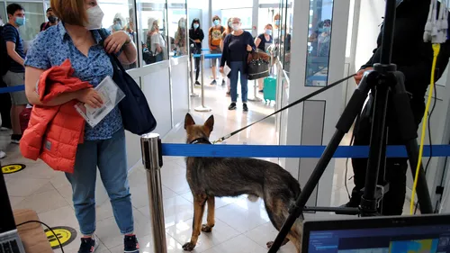 PREMIERĂ: Un pasager sosit cu avionul în România a fost depistat cu COVID-19 de un câine polițist. Ce au decis autoritățile
