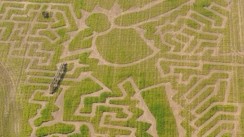 Labirint construit în cinstea campionului olimpic Usain Bolt 
