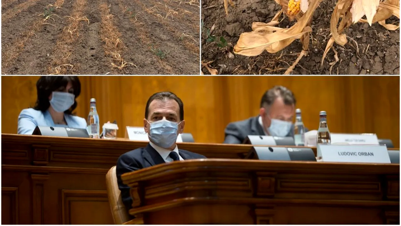 Avertismentul fermierilor către Orban, Oros și Cîțu: „Țineți-vă de cuvânt cu promisiunile pe care le faceți. În caz contrar, în septembrie, membrii noștri sunt cei care vă vor taxa la vot”