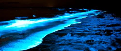 FENOMEN de bioluminiscență în Marea Neagră, observat de turiști și localnici. Valurile au „strălucit”