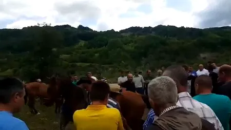 Și-au schingiut caii la un bâlci pentru a-și impresiona clienții. Martor: Biciuiau calul și pe o parte, și pe cealaltă. Au plecat polițiștii și au început iar - VIDEO