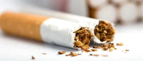 O nouă lovitură pentru fumători: țigările mentolate, interzise