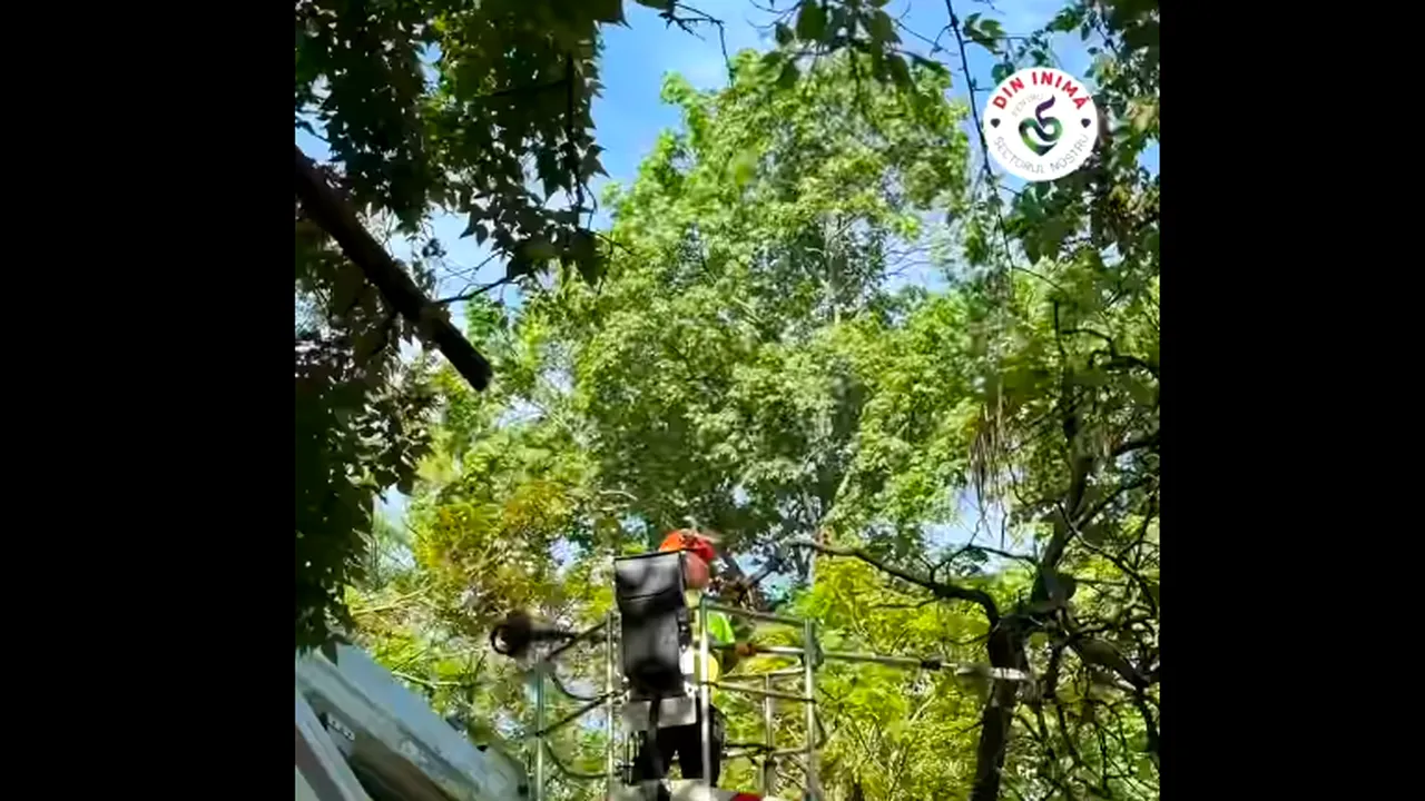 (P)În Parcul Romniceanu din Sectorul 5 au fost pornite fântânile arteziene