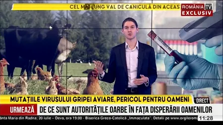 Apar MUTAȚII foarte periculoase ale gripei aviare. Avertismentul specialiștilor