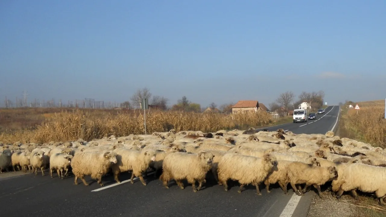 Război în USL pe autostrăzile din Moldova. Hrebenciuc: 