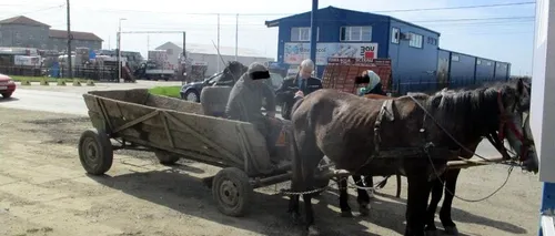 Surpriză pentru un căruțaș care circula neregulamentar pe o stradă din Timișoara. Ce s-a întâmplat după ce a fost legitimat de polițiști